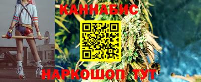 мдпв Донской