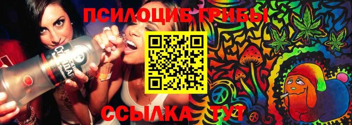 Михайловск  Галлюциногенные грибы GOLDEN TEACHER  Вход с VPN 