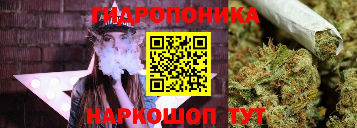 Бошки Шишки семена Михайловск